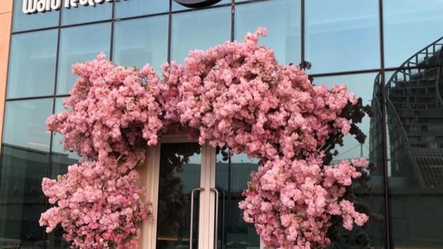 مطعم ورد-Ward Restaurant (الأسعار + المنيو + الموقع)