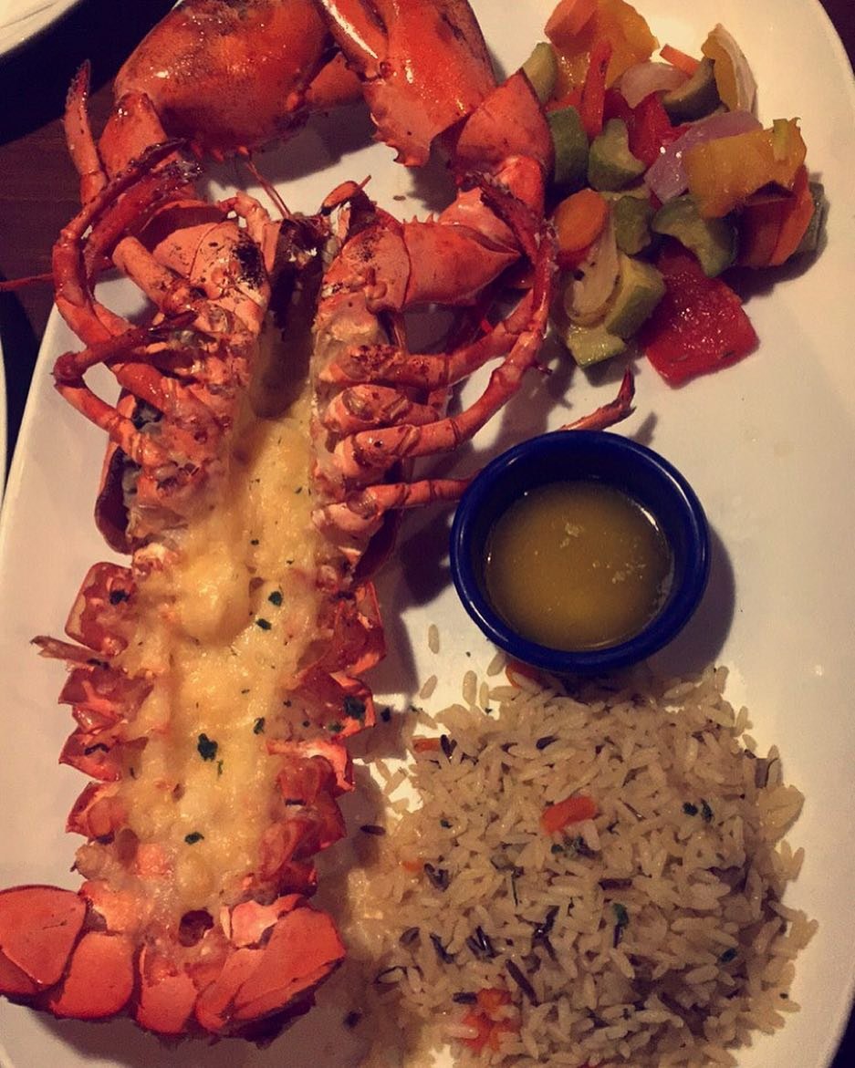 مطعم ريد لوبستر Red Lobster (الأسعار + المنيو + الموقع)