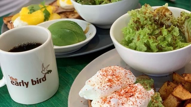 مطعم إيرلي بيرد الجابرية-The Early Bird Jabria (الاسعار+المنيو+الموقع)