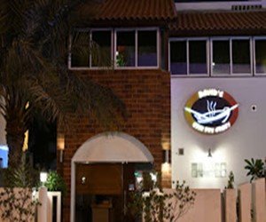ديفيد ستير فراي