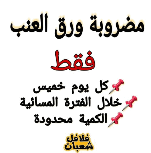 منيو مطعم فلافل شعبان