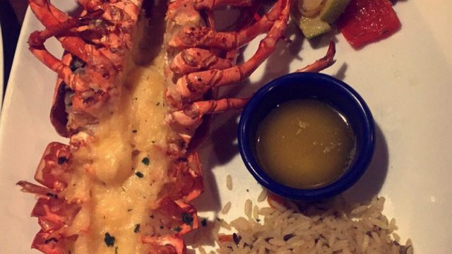 مطعم ريد لوبستر Red Lobster (الأسعار + المنيو + الموقع)